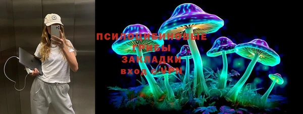 бошки Арсеньев