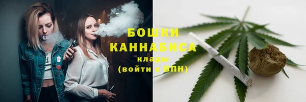 прущие грибы Армянск