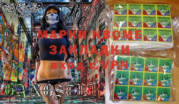 прущие грибы Армянск