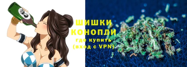 прущие грибы Армянск