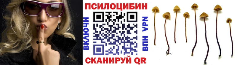 Галлюциногенные грибы Cubensis Приморск